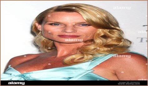 All About Nicollette Sheridan: A Television Icon